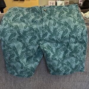 Berkley Jensen Green Flat Front Shorts size 42-nwot